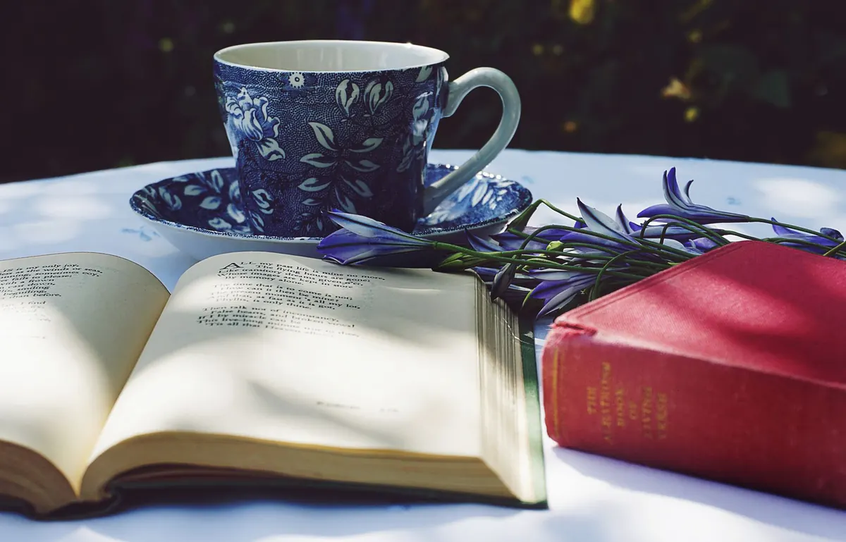 Poetry Forms Explained: Haiku, Sonnet, Villanelle and Free Verse
